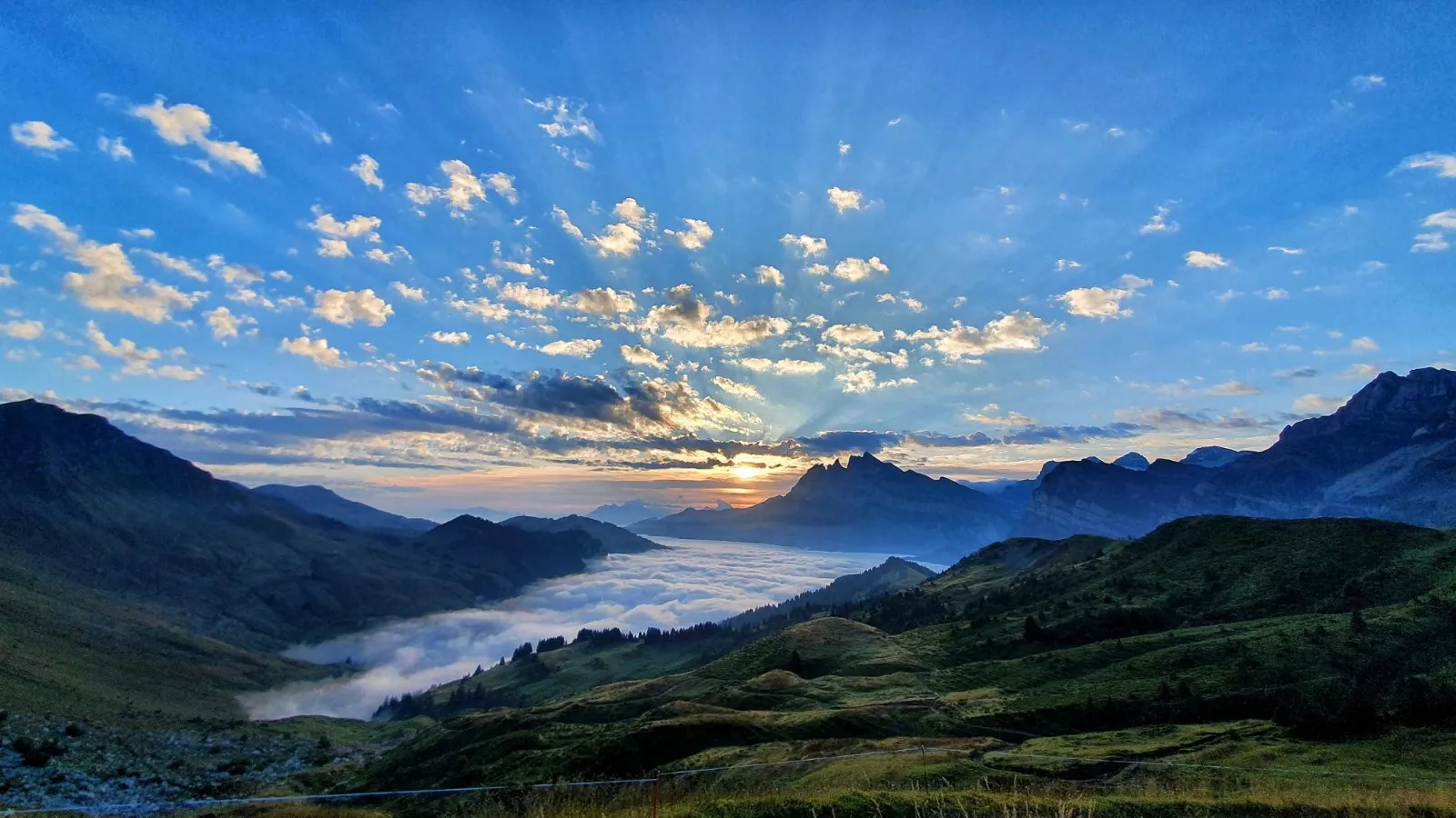 Lever de soleil sur les Alpes au-dessus d'une mer de brouillard